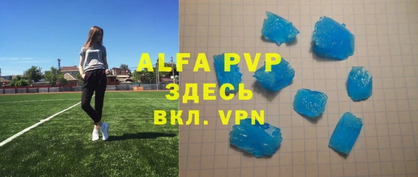 МДПВ Пересвет