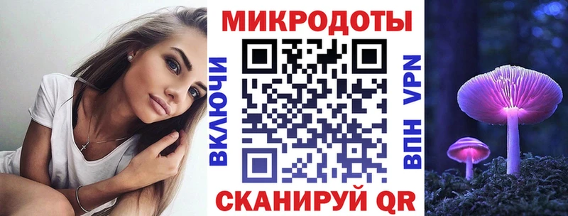 omg вход  Кизляр  Псилоцибиновые грибы GOLDEN TEACHER 